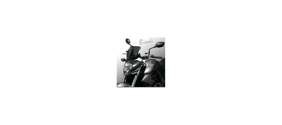 Windshields Biondi motorcycles for sale: prices and offers online